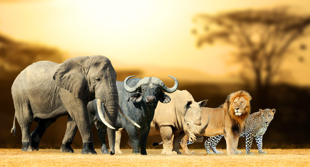 banca litoral da sorte